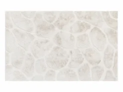 OZAIA Alfombra de pelo en relieve, 200 x 290 cm, , ARENSO