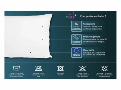 Outlet Soleil d'ocre Almohada antiácaros COMFORT 30x50 cm Blanco