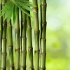 Almohada Dreamura Natura Bambu 40x70