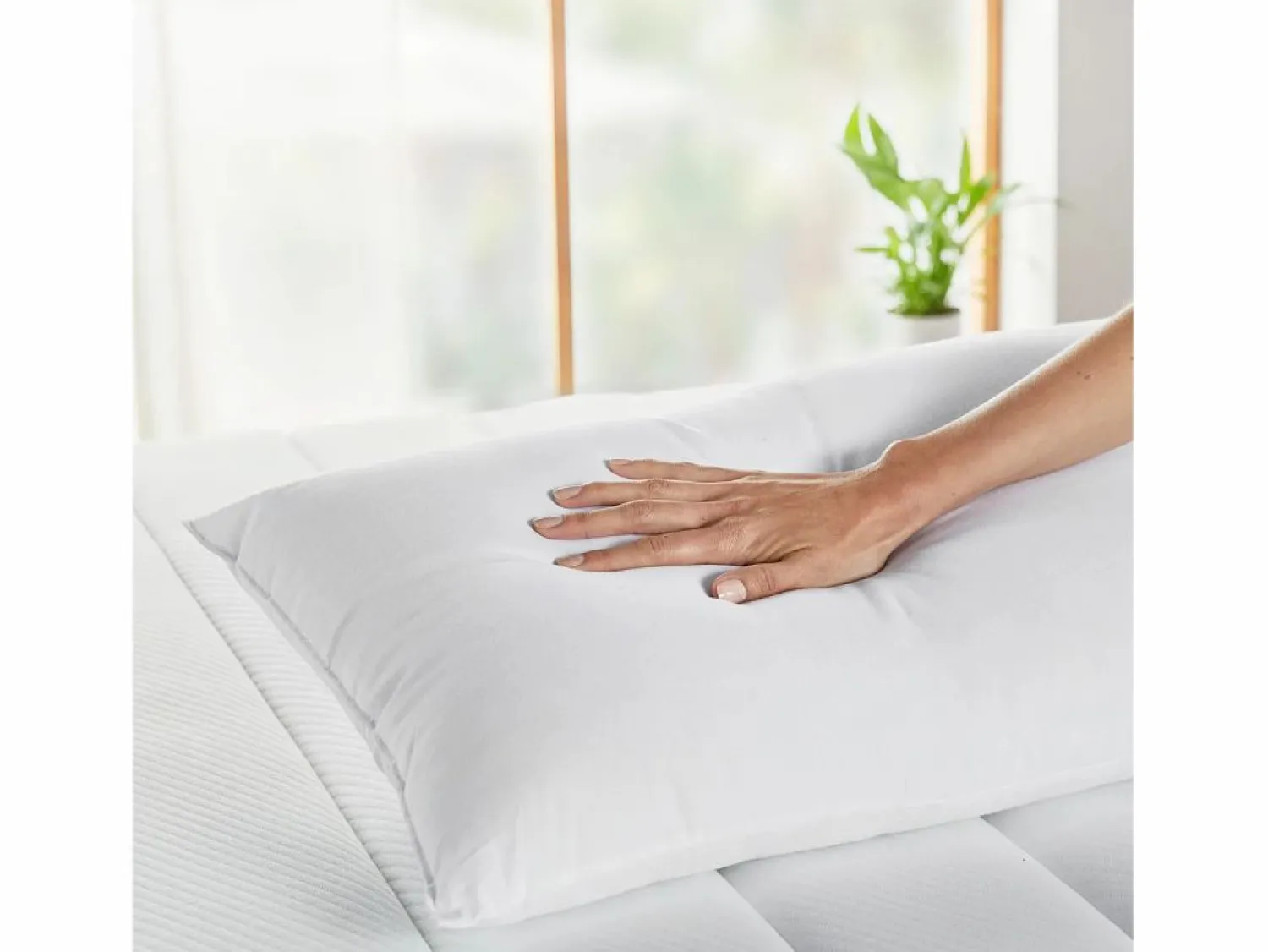 Online Almohada 40x90cm | HOME | Fibra | Antialérgica | 100% Algodón Almohada