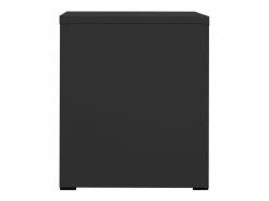 Clearance Archivador Antracita 46x62x72,5 cm Acero Marru00f3n