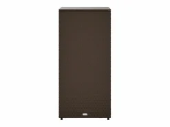 Online Armario de almacenaje de jardín ratán PE marrón 50x55x115 cm Baúl De Jardín