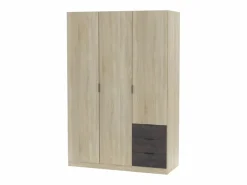 Hot Armario LC 3 puertas + 3 cajones roble/oxido 180x121x52 cm Armario