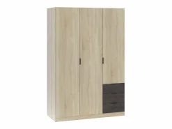 Hot Armario LC 3 puertas + 3 cajones roble/oxido 180x121x52 cm Armario