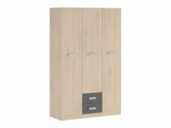 Armario Puccini -Grafito, 3 Puertas, Altillo y 2 Cajones, Perfecto para Dormitorios Matrimoniales e Infantiles, Madera, 130x207,6x50 cm.