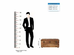 Sale Artisan Furniture Madera maciza Baúl de almacenamiento estilo roble con piel de búfalo Baúl Y Arcón|Accesorios De Almacenaje