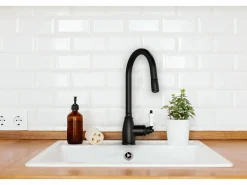 Essebagno Ascott Mezclador para fregadero con ducha extraíble