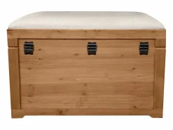 OZAIA Baúl banco con cojín de lino - L. 80 x P. 40 x A. 53 cm - natural y beige - TURZA