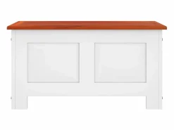 vidaxl Baúl de almacenaje con tapa madera de acacia marrón y