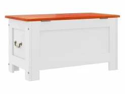 vidaxl Baúl de almacenaje con tapa madera de acacia marrón y