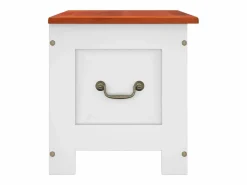 Hot Baúl de almacenaje con tapa madera de acacia marrón y ES259414 Blanco