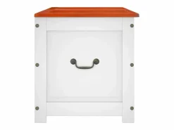 Outlet Baúl de almacenaje con tapa madera de acacia marrón y Baúl Y Arcón