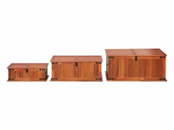 vidaxl Baúl de almacenamiento 3 piezas de madera maciza de acacia