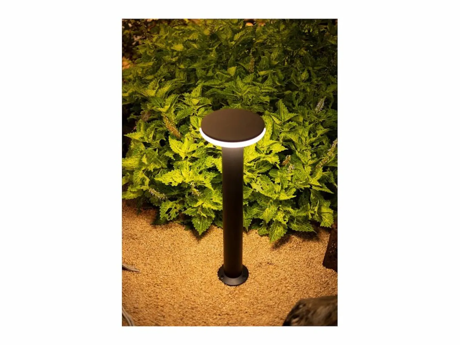 Sale Baliza LED Mac Floor Corten 4000K - 12W IP65 de 30 cm de altura para exterior en aluminio - Downlight - Beneito & Faure Iluminación Exterior