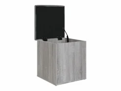 Best Banco con almacenaje madera ingeniería Sonoma 42x42x45 cm ES575106 Gris