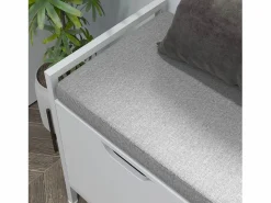 Hot Banco zapatero Flow asiento + 2 compartimentos 50x84x35 cm Zapatero