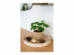 Online Bandeja de cerámica blanca Ø 37 cm Jarrón