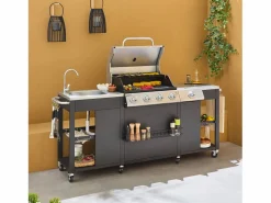 Outlet Barbacoa de gas de 5 quemadores con 1 quemador lateral Barbacoa