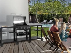 Hot Barbacoa de gas para cocina exterior - 12 kW - 4 fuegos - Barbacoa