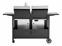 Barbacoa de gas y carbón 