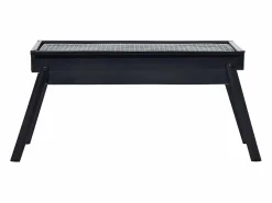 vidaxl Barbacoa portátil para camping 60x22,5x33 cm