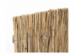 Sale Cañizo bambú pelado multivarilla reed multi 1X5 M Cercados Y Ocultación