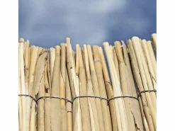 Sale Cañizo bambú pelado multivarilla reed multi 1X5 M Cercados Y Ocultación