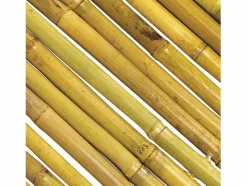 Online Cañizo entero barnizado bambooflex 1X3 M Cercados Y Ocultación