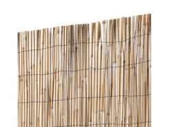 Cañizo entero varilla media reedcane plus nortene 2X5 M
