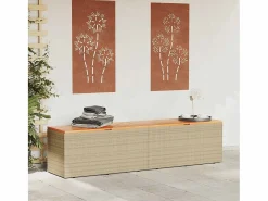 Caja de almacenamiento de jardín hecha de resina tejida y madera de acacia