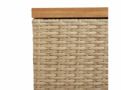 Caja de almacenamiento de jardín hecha de resina tejida y madera de acacia