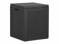 Sale Caja de almacenamiento de jardín 90 L Ratán PP Armario De Jardín