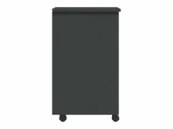 Sale vidaxl Cajonera con ruedas MOSS madera maciza de pino Gris