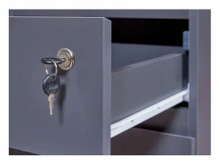 ebuy24 Cajonera FileGuard 1 cajón, 1 puerta con llave color .