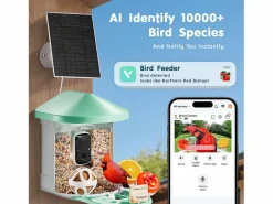 Comederos para Aves Inteligente SucceBuy con Cámara, 2K HD, Especies IA, Alimentado por Energía Solar