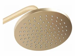 Rea Conjunto De Ducha Luis Brush Gold