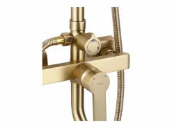Hot Rea Conjunto De Ducha My2021-77Gg Argus Brush Gold Dorado