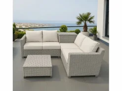 New Concept-Usine Conjunto de jardín de esquina 4 plazas de ratán sintético con baúl de almacenamiento y mesa de centro Gris
