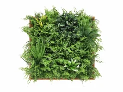 New OZAIA Cuadro vegetal sintético 55 x 55 cm, Marco natural, Follaje , VEGITIRI Verde