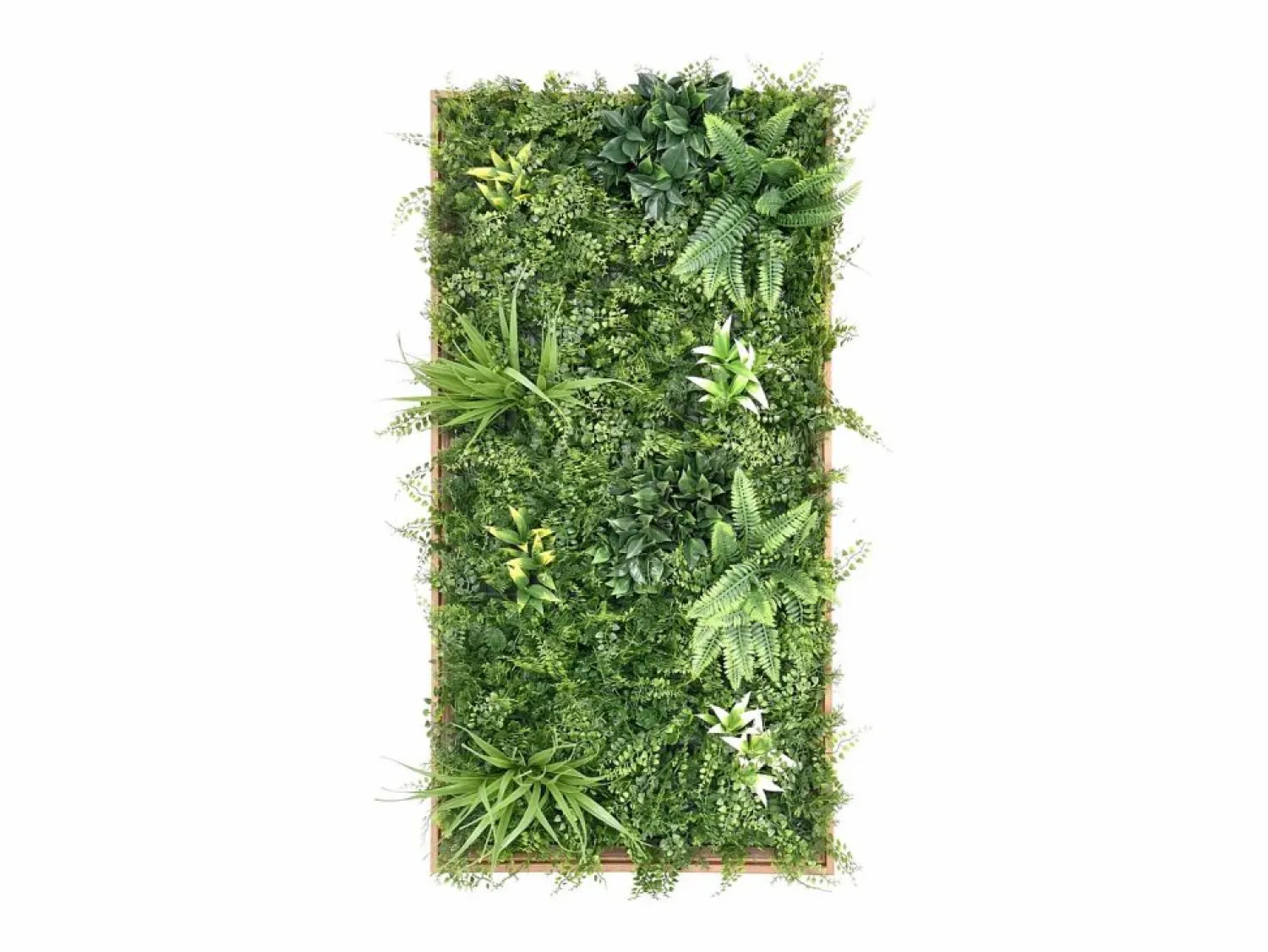 Outlet Cuadro vegetal sintético H. 106 x L. 55 cm - Marco natural, follaje , TERAKLA Panel De Pared