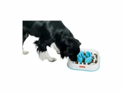 Best Cubeta extraíble antibacterias Comida Para Animales De Compañía
