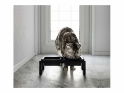 Best Yamazaki Cuenco de diseño doblemente elevado para el gato Tower Negro