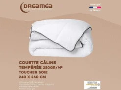 DREAMEA Edredón Câline de tacto sedoso 240 x 260 cm - 250 g/m² - con bies gris - BIESYA