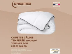 DREAMEA Edredón Câline de tacto sedoso 220 x 240 cm - 250 g/m² - con bies gris- BIESYA