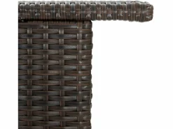 New Farid Mesa alta de jardín ratán sintético marrón 120x55x110 cm Mesa Alta