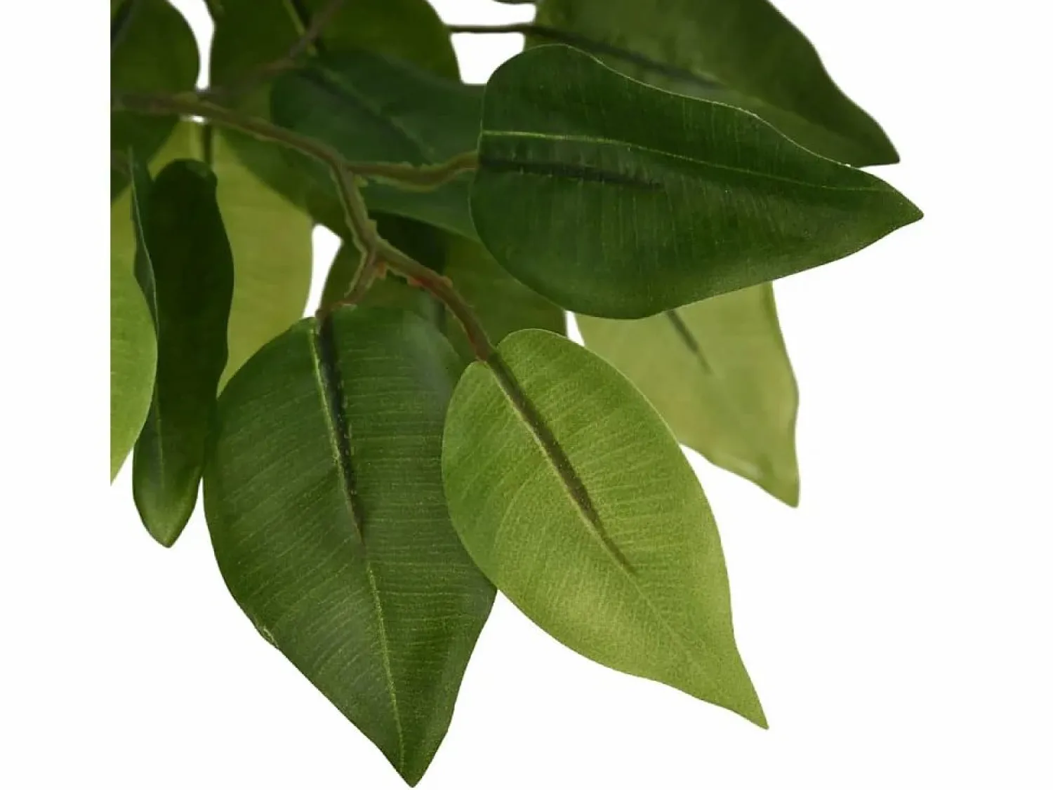 Sale Ficus artificial 1260 hojas 200 cm Verde