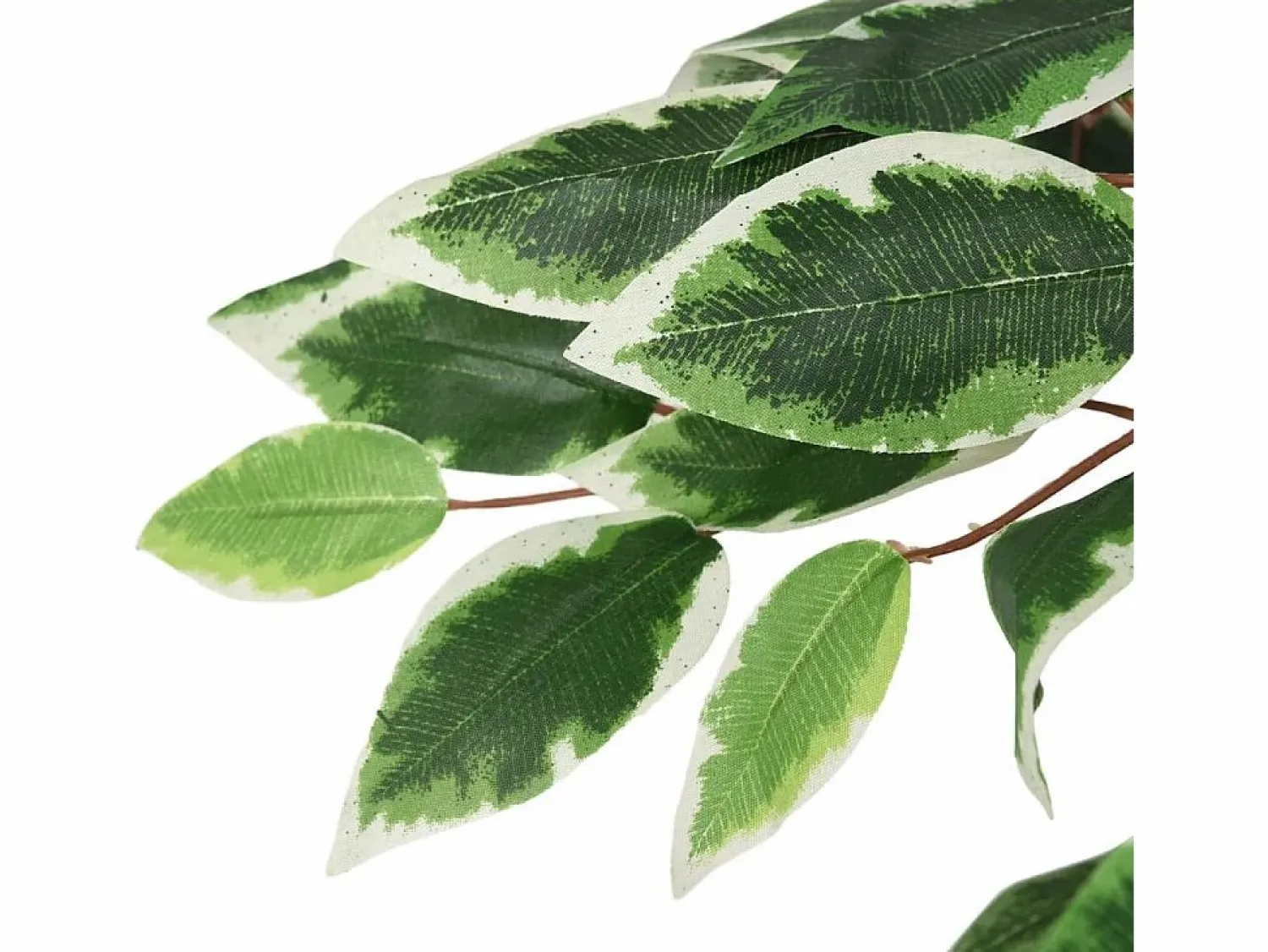 Outlet Ficus artificial 1008 hojas 180 cm Planta Artificial