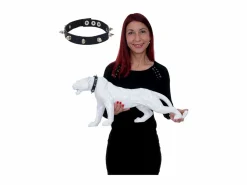 Online Figurita decorativa pantera con collar, alto brillo con collar Estatua
