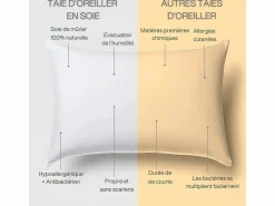 Inphysio Funda de Almohada en Pura Seda de Morera 70x50