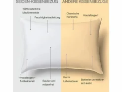 Inphysio Funda de Almohada en Pura Seda de Morera 70x50